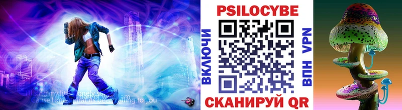 Псилоцибиновые грибы Psilocybe  где купить наркоту  Снежногорск 